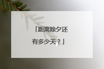 距离除夕还有多少天?