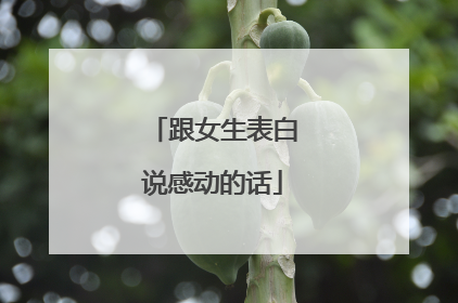 跟女生表白说感动的话