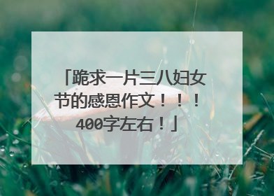 跪求一片三八妇女节的感恩作文!!!400字左右!