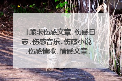 跪求伤感文章.伤感日志.伤感音乐.伤感小说.伤感情歌.情感文章.非主流音乐.QQ空间日志.等等所有伤感.