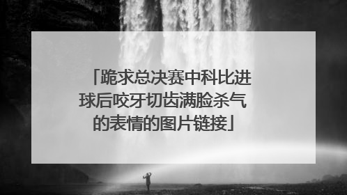 跪求总决赛中科比进球后咬牙切齿满脸杀气的表情的图片链接
