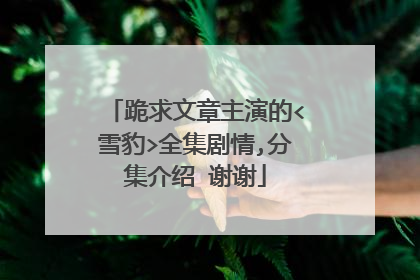 跪求文章主演的<雪豹>全集剧情,分集介绍 谢谢
