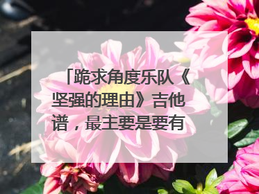 跪求角度乐队《坚强的理由》吉他谱，最主要是要有右手的节奏型，拜托了！