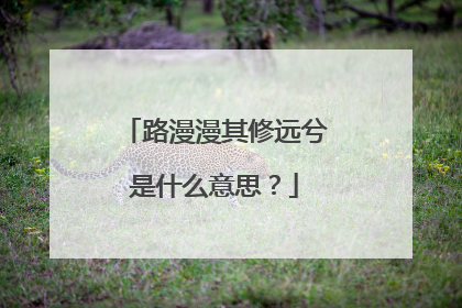 路漫漫其修远兮是什么意思?