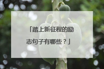 踏上新征程的励志句子有哪些？