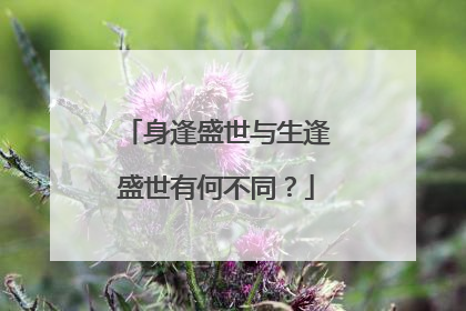 身逢盛世与生逢盛世有何不同?