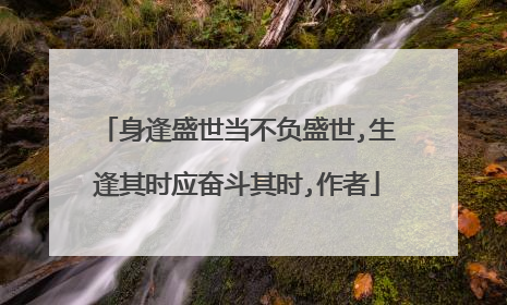 身逢盛世当不负盛世,生逢其时应奋斗其时,作者