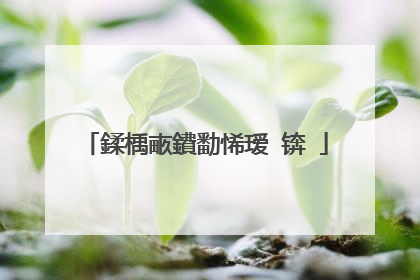 鍒楀畞鐨勫悕瑷�锛�