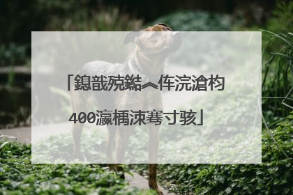 鎴戠殑鐑︽伡浣滄枃400瀛楀洓骞寸骇