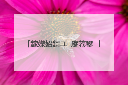 鎵嬫妱鎶ユ�庝箞鐢�