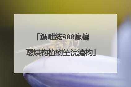鎷呭綋800瀛楄��璁烘枃楂樹笁浣滄枃