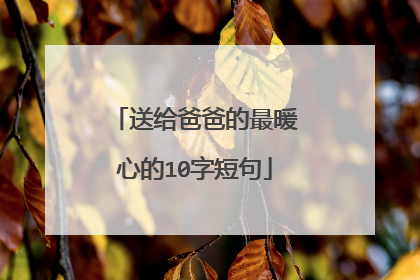 送给爸爸的最暖心的10字短句