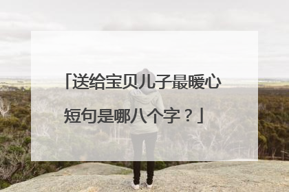 送给宝贝儿子最暖心短句是哪八个字?