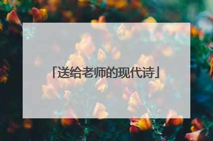 送给老师的现代诗