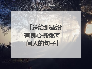 送给那些没有良心挑拨离间人的句子