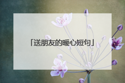 送朋友的暖心短句