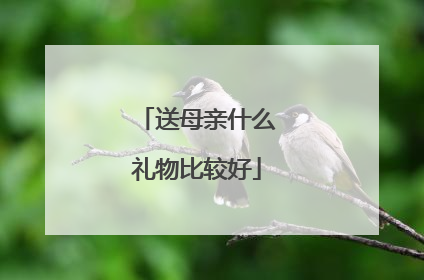 送母亲什么礼物比较好