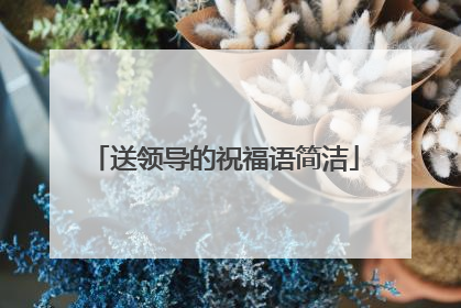 送领导的祝福语简洁