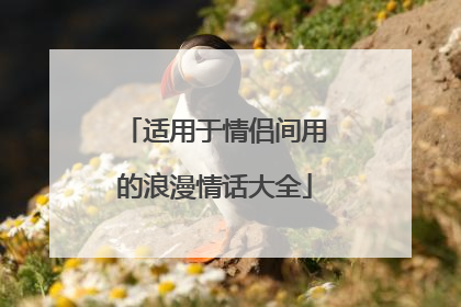 适用于情侣间用的浪漫情话大全