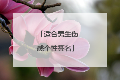 适合男生伤感个性签名