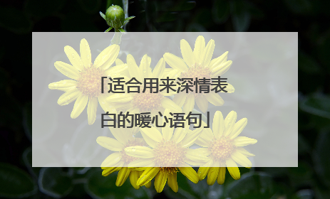 适合用来深情表白的暖心语句