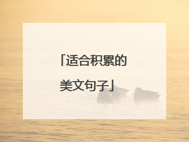 适合积累的美文句子