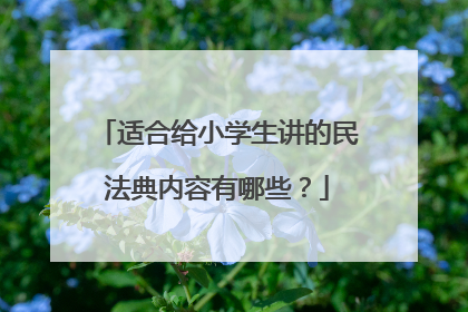 适合给小学生讲的民法典内容有哪些?