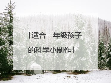 适合一年级孩子的科学小制作