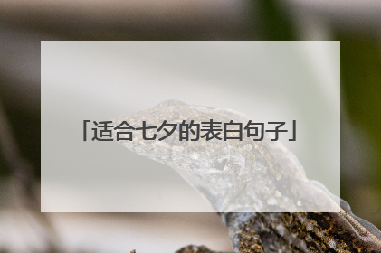 适合七夕的表白句子