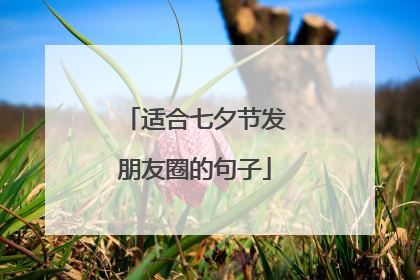 适合七夕节发朋友圈的句子