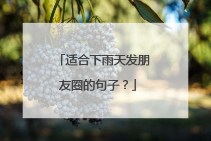 适合下雨天发朋友圈的句子?