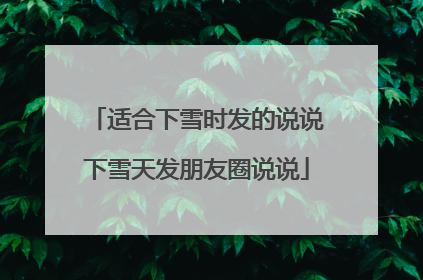 适合下雪时发的说说下雪天发朋友圈说说