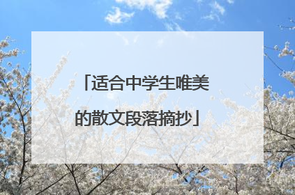 适合中学生唯美的散文段落摘抄