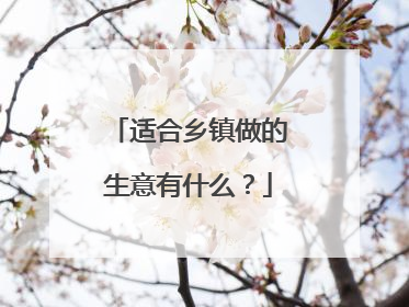 适合乡镇做的生意有什么?