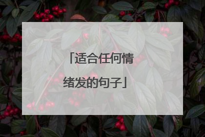 适合任何情绪发的句子