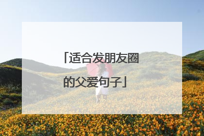 适合发朋友圈的父爱句子