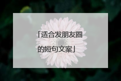 适合发朋友圈的短句文案