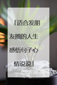适合发朋友圈的人生感悟句子心情说说