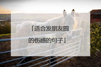 适合发朋友圈的伤感的句子