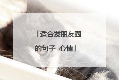 适合发朋友圈的句子 心情