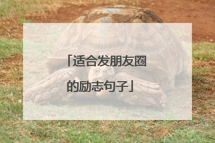 适合发朋友圈的励志句子