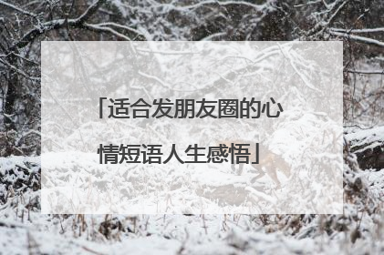适合发朋友圈的心情短语人生感悟
