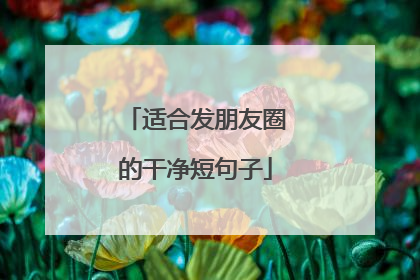 适合发朋友圈的干净短句子