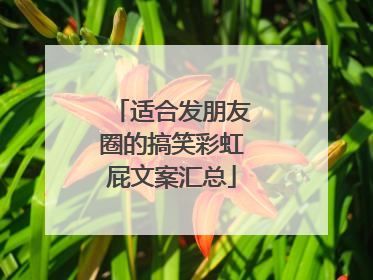 适合发朋友圈的搞笑彩虹屁文案汇总