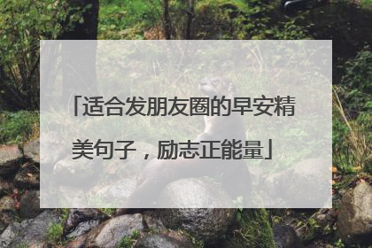 适合发朋友圈的早安精美句子，励志正能量