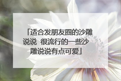 适合发朋友圈的沙雕说说 很流行的一些沙雕说说有点可爱