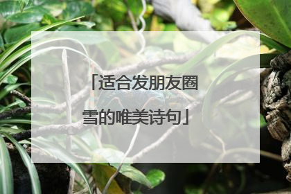 适合发朋友圈雪的唯美诗句