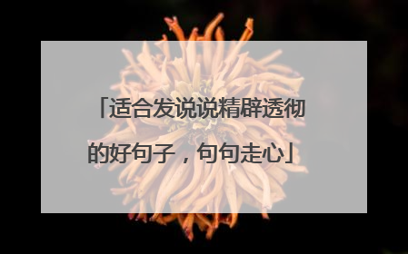 适合发说说精辟透彻的好句子,句句走心