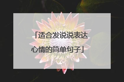 适合发说说表达心情的简单句子