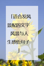 适合发风景配的文字 风景与人生感悟句子